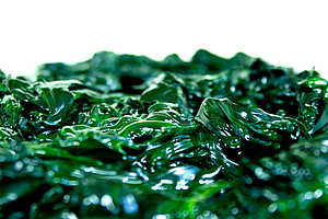 Pour les chimistes, les algues recèlent des molécules innovantes - © Microphyt 