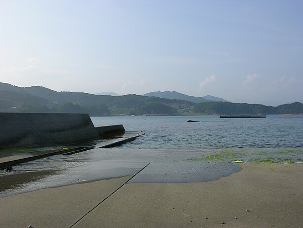 Inondation des quais par affaissement de la côte suite au séisme de Tohoku, en 2011 (Japon). 